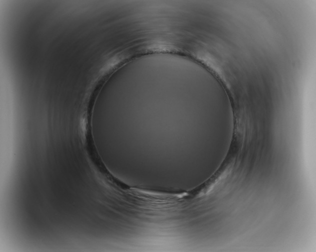 X0000094210063200711091245