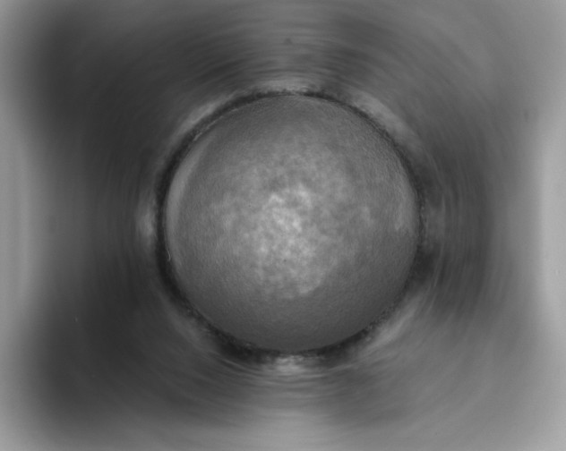 X0000094210064200711091245