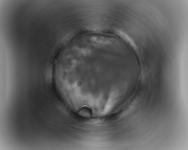 X0000094210065200711091245