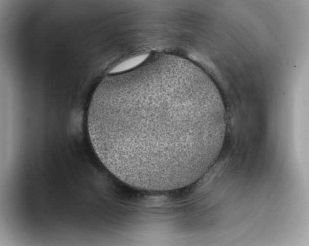 X0000094210066200711091245