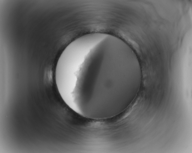 X0000094210067200711091245