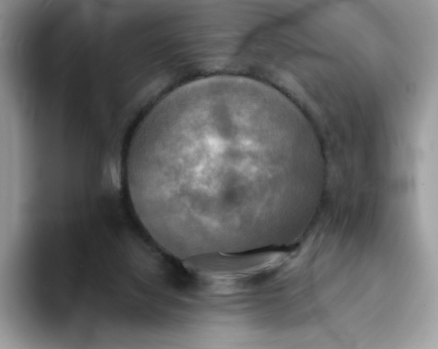 X0000094210068200711091245