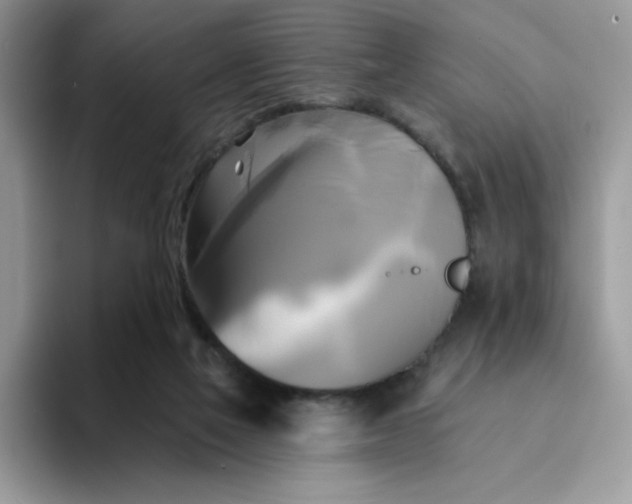 X0000094210069200711091245