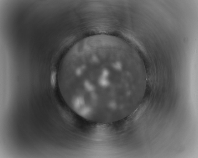 X0000094210070200711091245