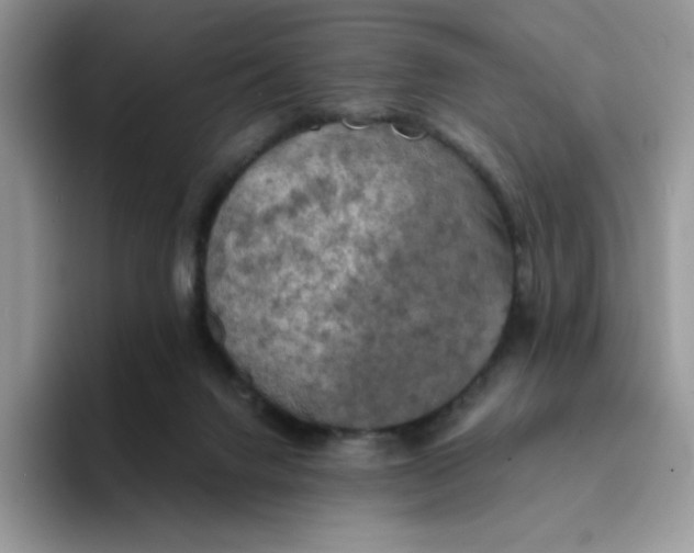 X0000094210072200711091245