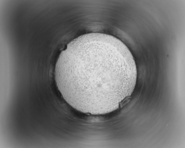 X0000094210073200711091245