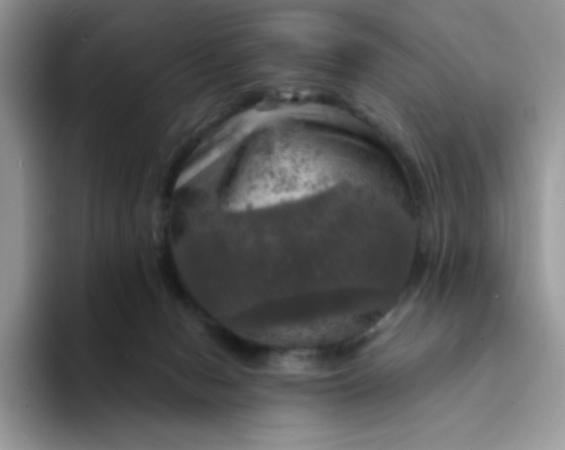 X0000094210078200711091245