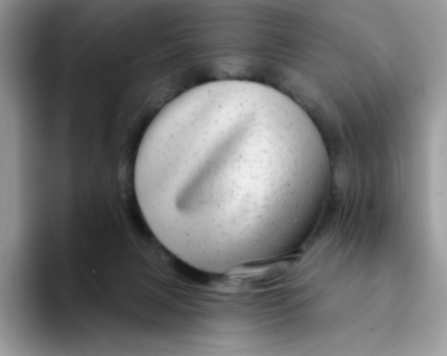 X0000094210079200711091245