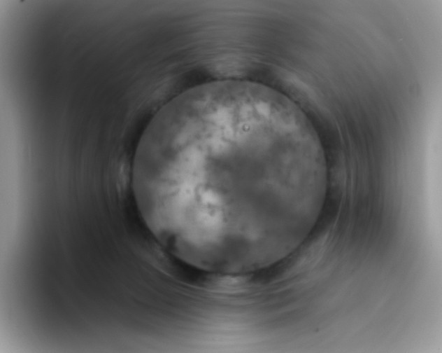 X0000094210081200711091245