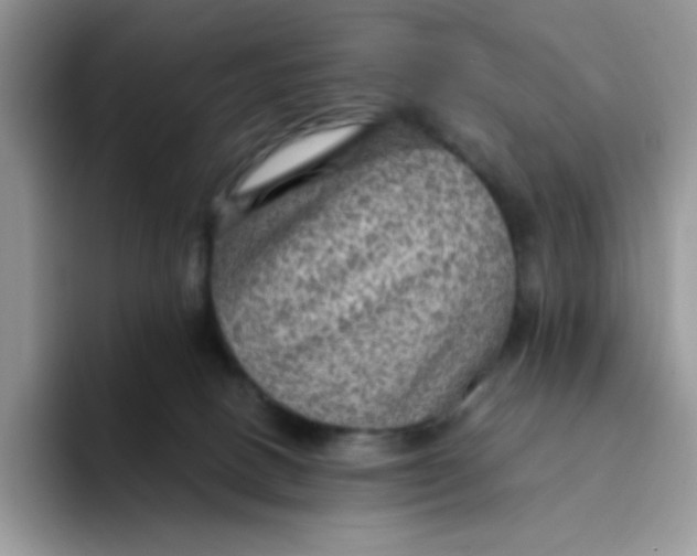 X0000094210082200711091245