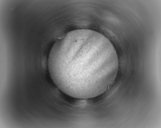 X0000094210083200711091245