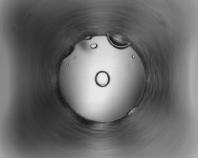 X0000094210084200711091245