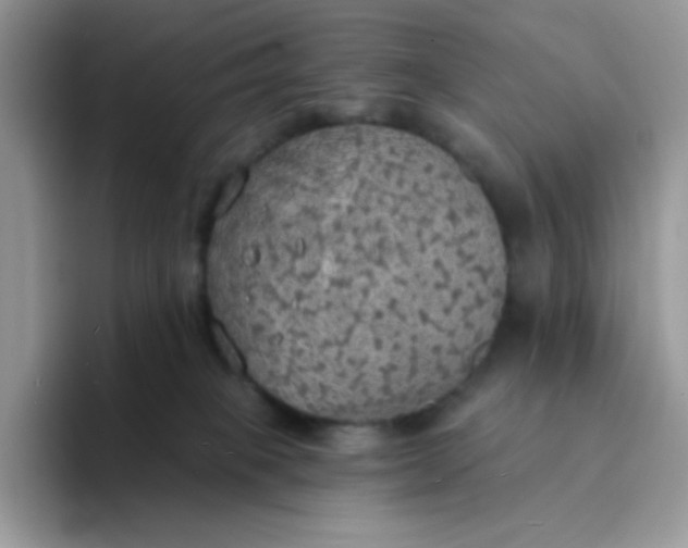X0000094210085200711091245