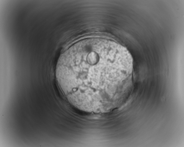 X0000094210086200711091245