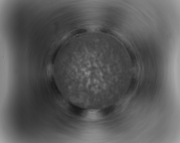 X0000094210093200711091245