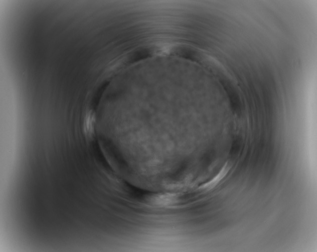 X0000094210094200711091245