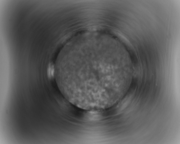 X0000094210095200711091245