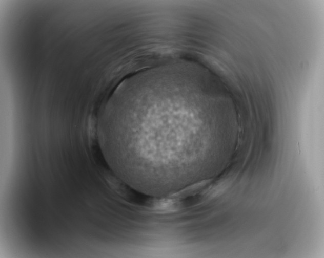 X0000094210096200711091245