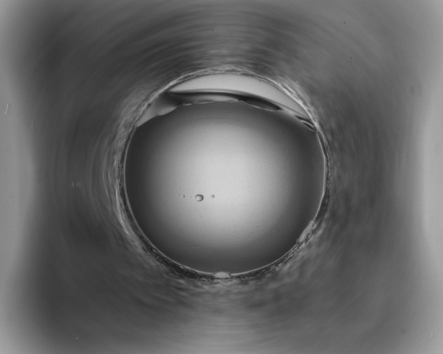 X0000094210097200711091245