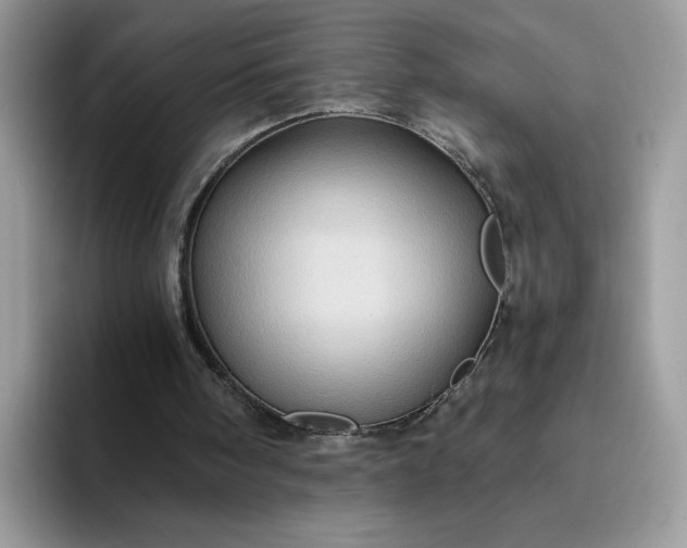 X0000094210098200711091245
