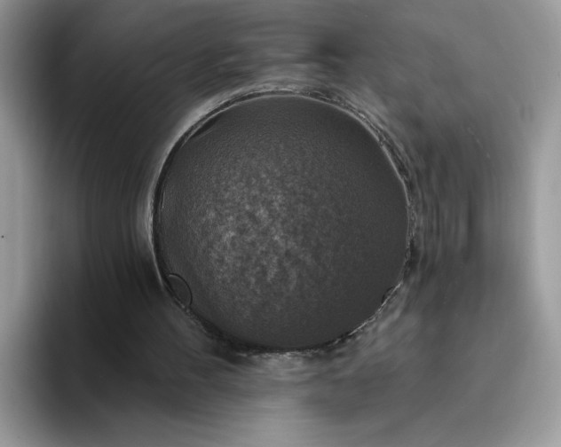 X0000094210100200711091245