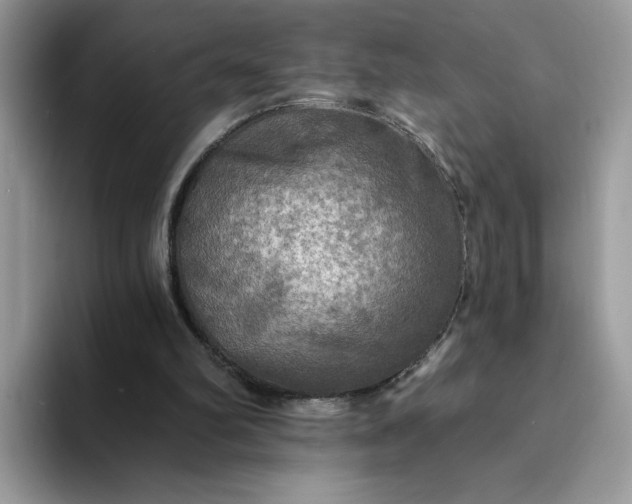 X0000094210102200711091245