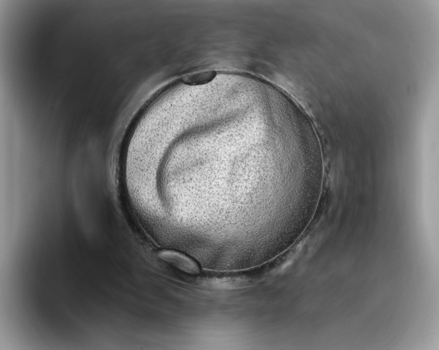 X0000094210103200711091245
