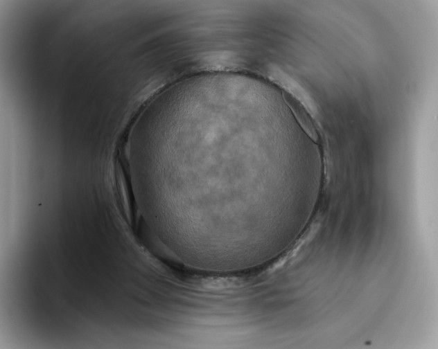 X0000094210105200711091245