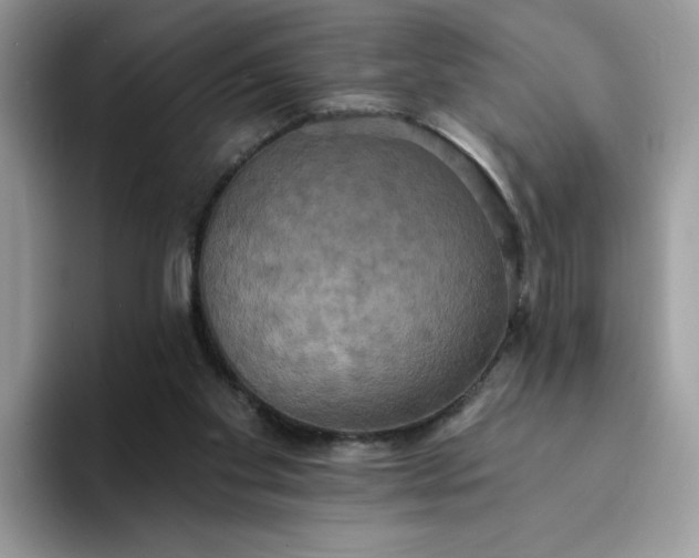 X0000094210109200711091245