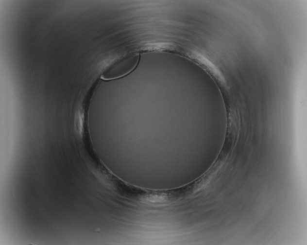 X0000094210110200711091245