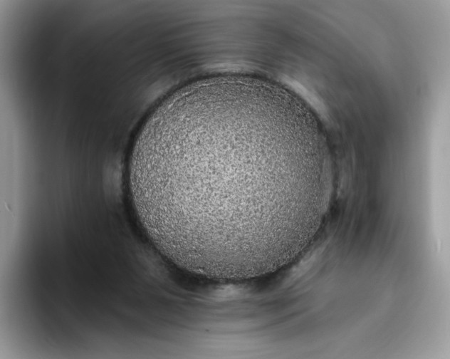 X0000094210111200711091245