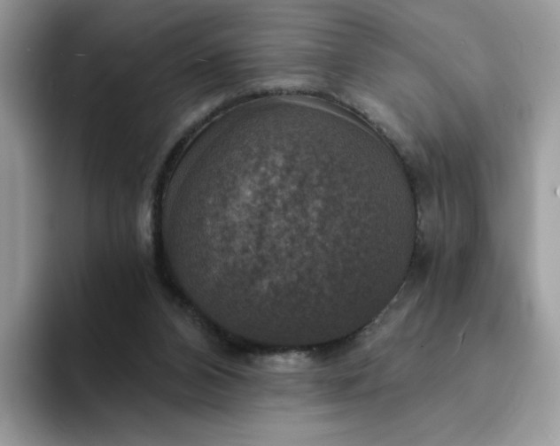 X0000094210112200711091245