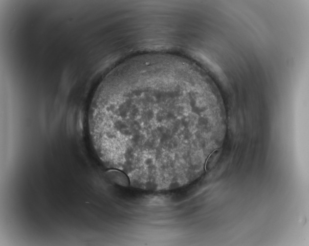 X0000094210115200711091245