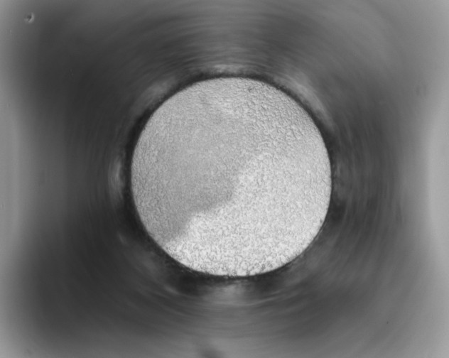 X0000094210116200711091245