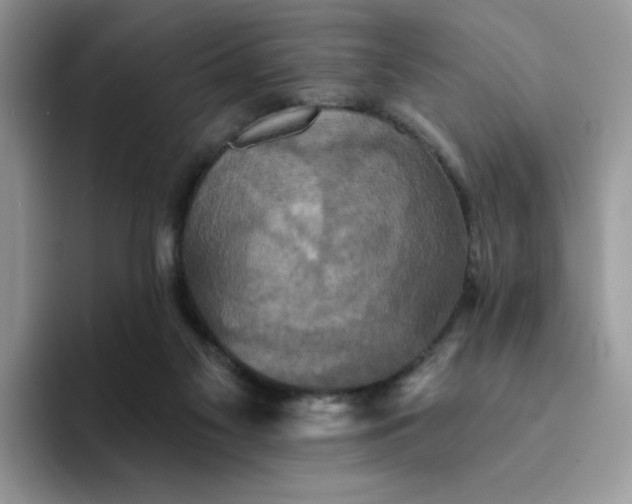 X0000094210117200711091245