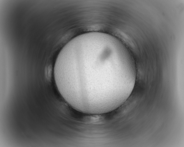 X0000094210118200711091245