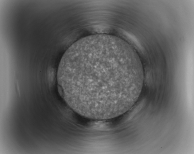 X0000094210121200711091245