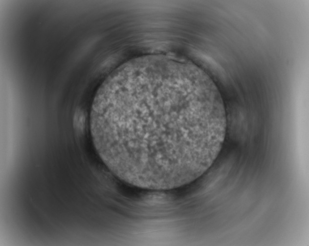 X0000094210123200711091245