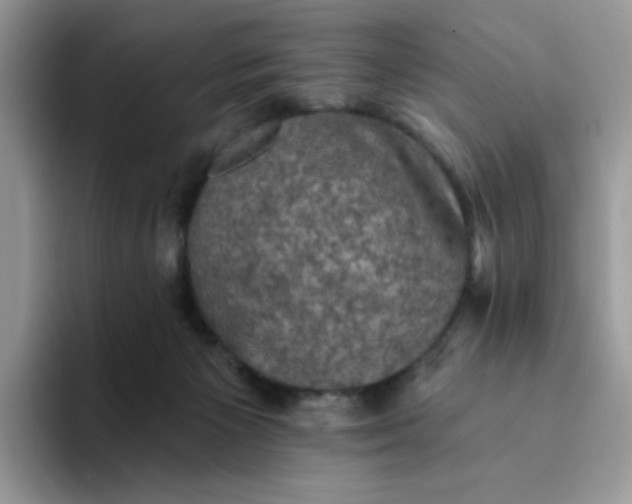 X0000094210125200711091245