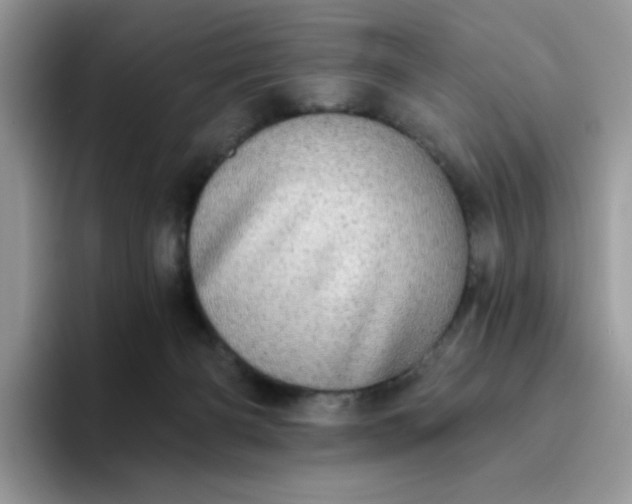 X0000094210126200711091245
