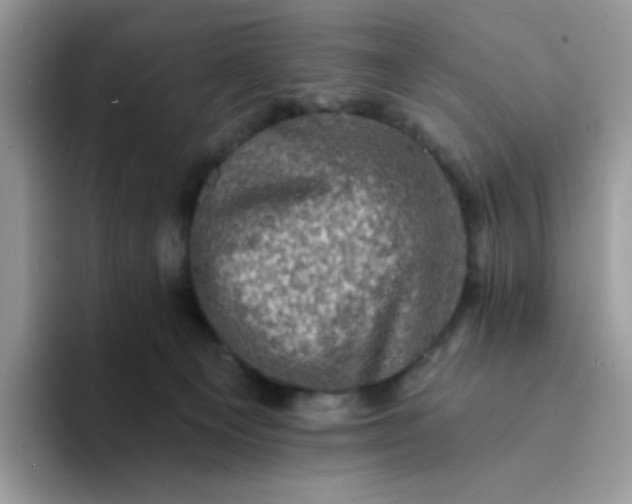 X0000094210129200711091245