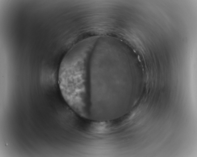 X0000094210131200711091244