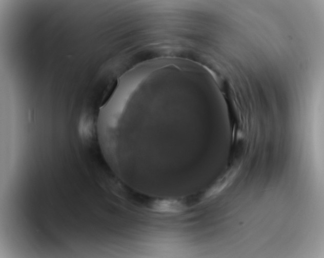 X0000094210137200711091244