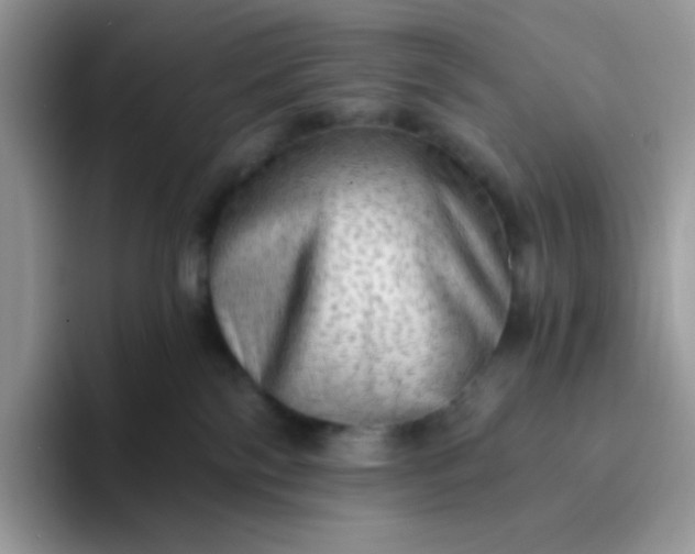 X0000094210138200711091244