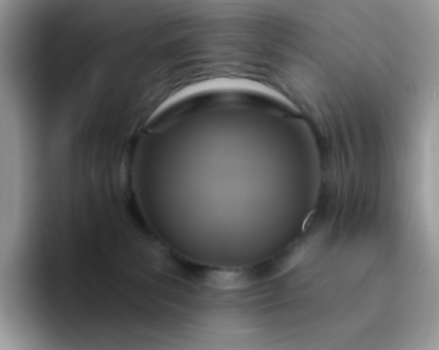 X0000094210139200711091244
