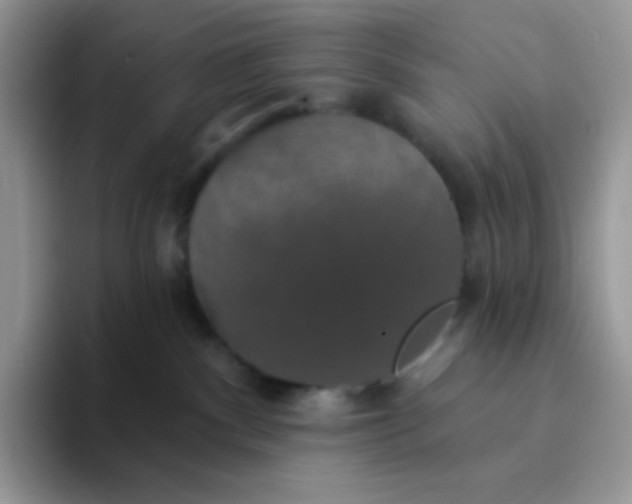 X0000094210140200711091244
