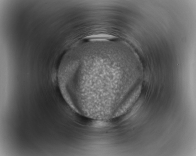 X0000094210141200711091244