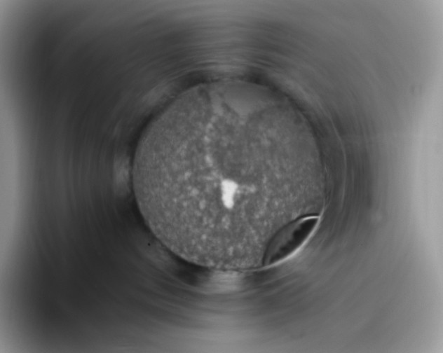 X0000094210144200711091244