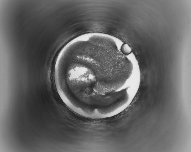 X0000094210146200711091244