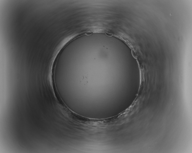 X0000094210147200711091244